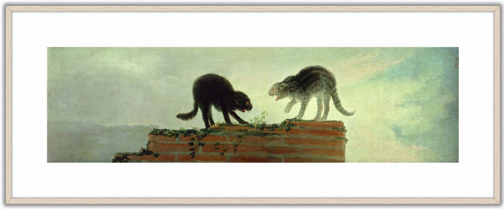 Riña de gatos