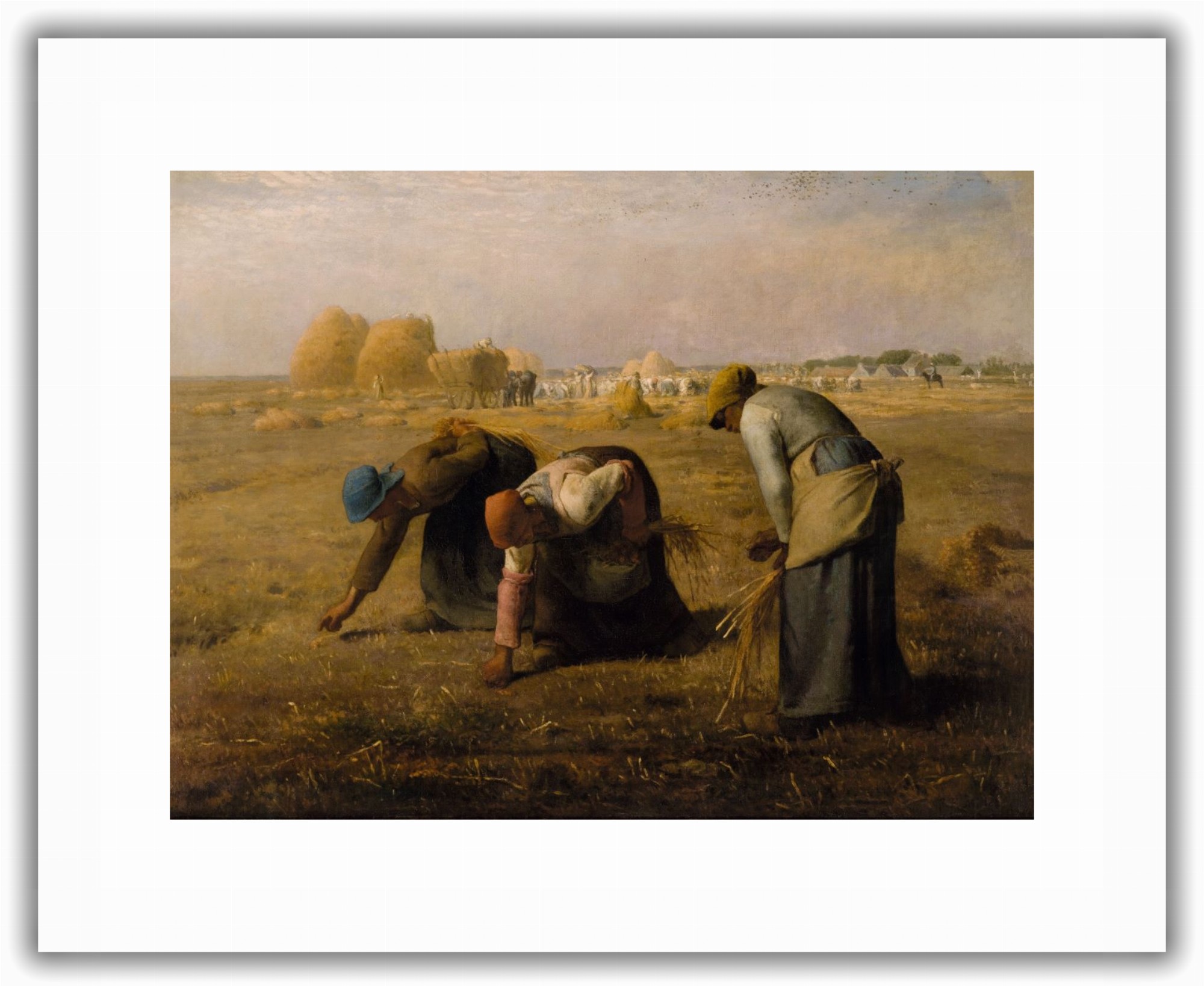 Des Glaneuses