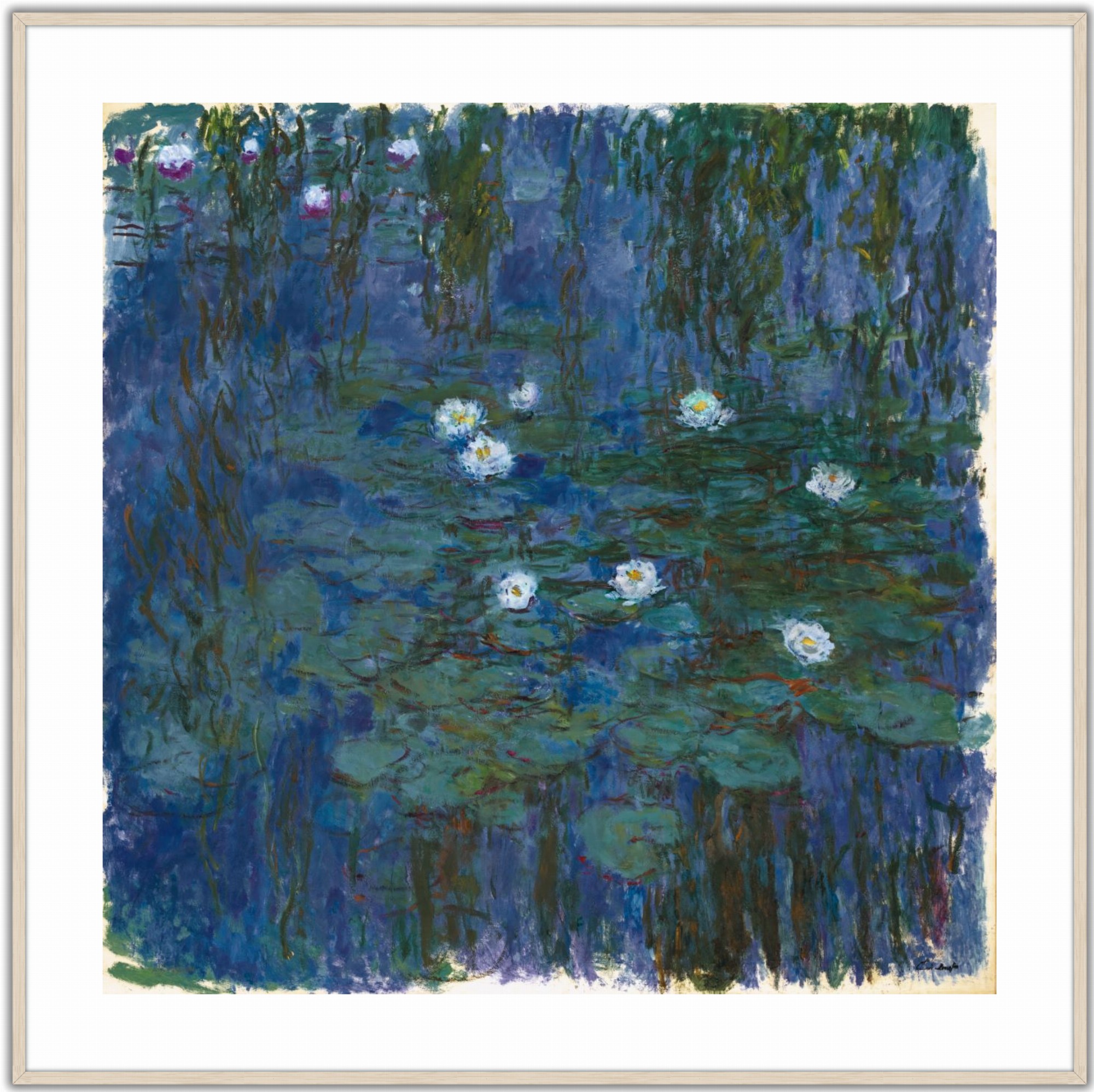 Nymphéas bleus