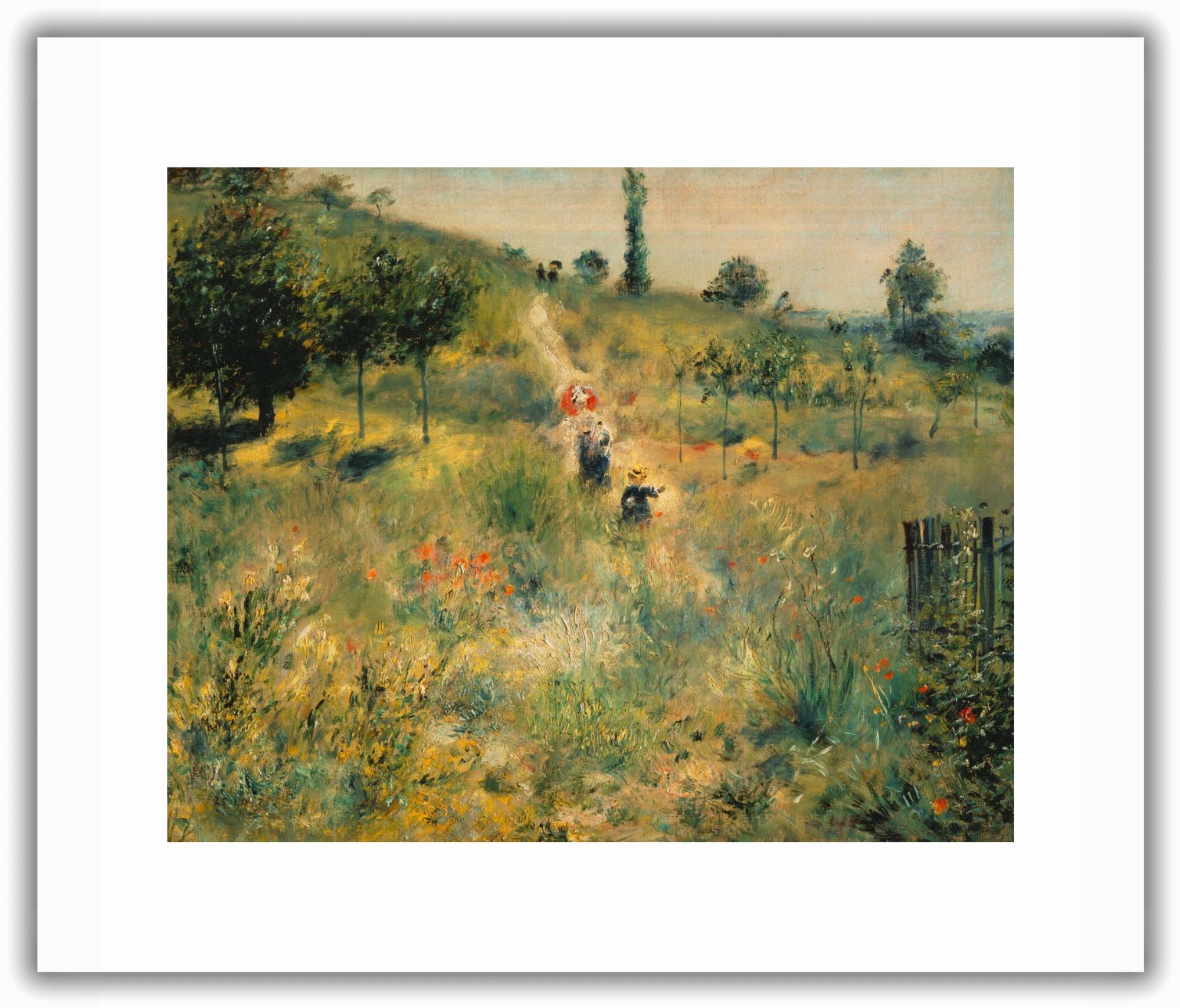 Chemin montant dans les hautes herbes